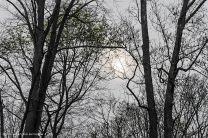 endlich kommt die Sonne ein wenig durch