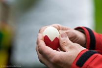 Kurtis einmaliges Angebot: "Wer will mein Ei? - ich hab noch zwei in Reserve..."