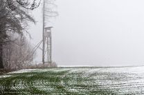 Winterimpressionen: Natur pur...