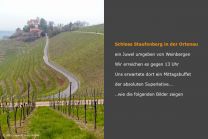 Schloss Staufenberg in Durbach