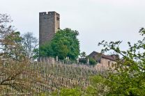 ein letzter Blick zurück auf die Ravensburg