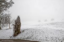 Wir begegnen dem Klosterfrau-Melissengeist - auch bekannt und berüchtigt als der schwäbische Jeti von Haigerloch