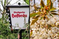 jawohl - jetzt ein Bierchen, das würde passen!