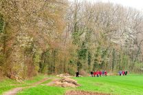 Enztal-Frühling: mehr grün geht nicht! - Part 1