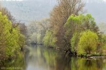 Vorfrühling an der Enz