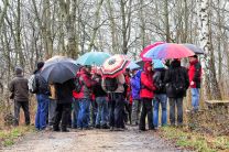 OWA 2015 - 31 Teilnehmer sind bei regnerischen +2° Celsius am Lauschen