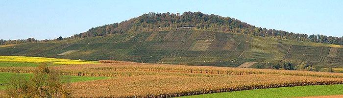 wunnenstein-panorama_700x200