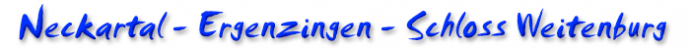 zielgebiet-neckartal-ergenzingen_700x50
