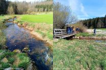 Vorfrühling an der Vehla mit kritstallklarem Wasser