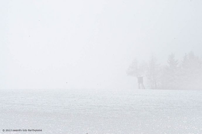 ub-owa2013_0055_k01_1200x800