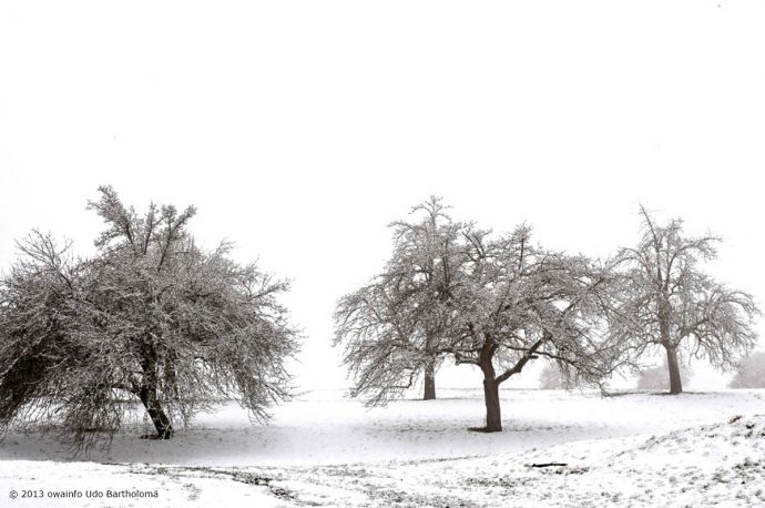 ub-owa2013_0072_k01_1200x800