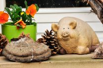 in Mühlhausen angekommen werden wir bereits begrüßt