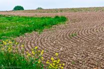 ..ein ganz normaler Acker - wird durch Udos Kamera zum Kunstwerk!