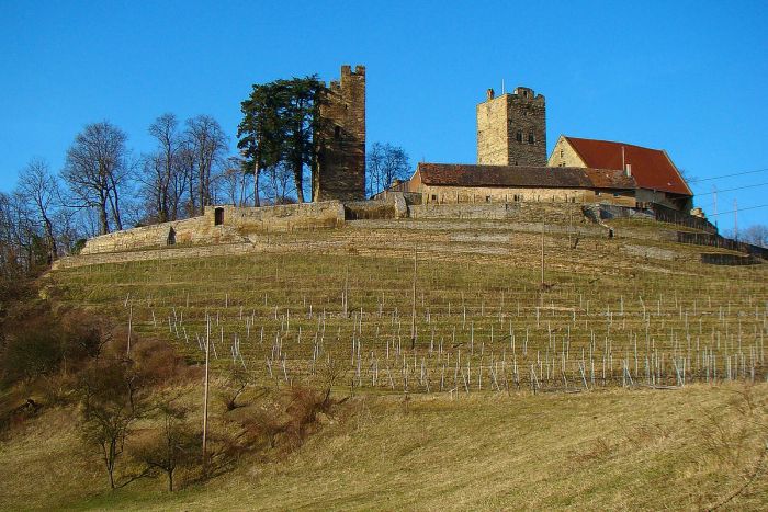wikipedia-burg-neipperg_1200x800_color-kr64