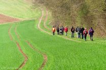 Frühling im Enztal: mehr grün geht nicht! - Part 2