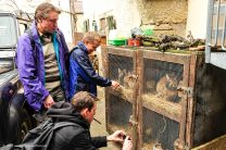 Die Osterhasen-JVA in Mühlhausen