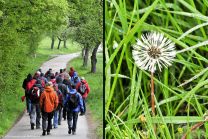 Der Frühling ist da - alles sprießt und blüht