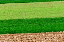 Naturfarben: grün und braun in Szene gesetzt