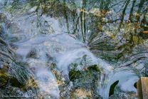 kunstvolle Wasserspiegelungen im Hasenbach (Zwiefalter Aach)