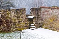 ...nun wissen wir endlich, was unser OWA-Hoffotograf Udo als Fotomotiv gewählt hat!