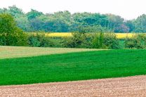 vier Farben und ein bisschen Himmel - gut fotografiert