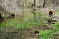 Der glasklare Hasenbach: Auch Kurti finde das Foto-Motiv interessant