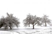 Ja ist den heut schon Weihnachten?