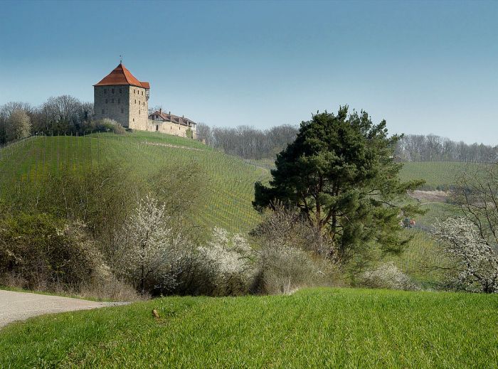 burg-wildeck3_1080x800