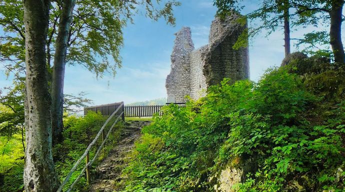 Burgruine Hohenerpfingen im Laucherttal (Foto: Alexander Willig)