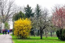 ...es geht jetzt ins blühende Enztal