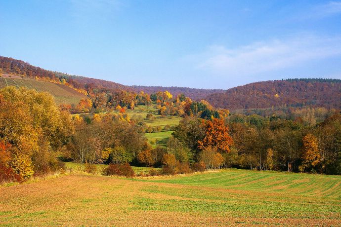 wikipedia-grünberger_kirbachtal-bei-spielberg_1200x800