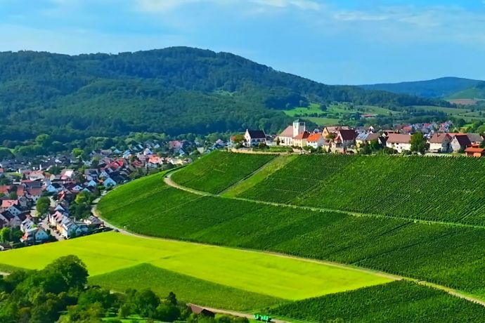 joachim-dups-hohenhaslacher-weinberge_1200x800