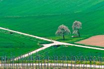 Udos plakative Landschaftsmalerei
