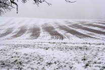 triste Winterstimmung in unberührter Natur
