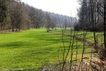 Der Weg vom Parkplatz führt uns durch das Wasserbachtal bis zum Hardtwaldsee