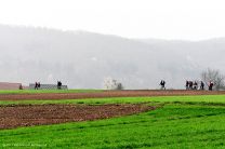 unser Weg führt zunächst entlang der Enz wieder nach Lomersheim
