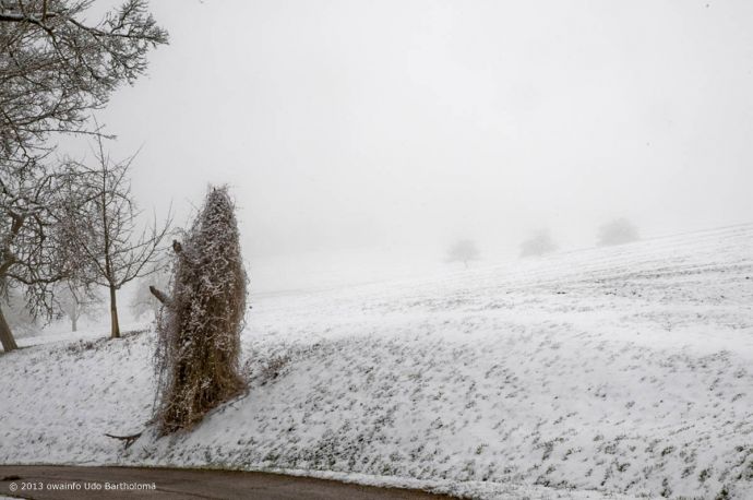 ub-owa2013_0067_k01_1200x800