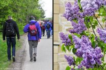 wir nähern uns Kürnbach