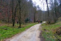 Wanderweg am Beginn des Glastals: Der Vorfrühling zeigt sich nur zaghaft