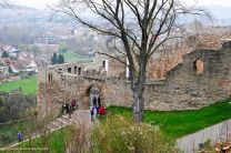 Blick in den Innenhof der Burgruine