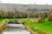das Flüsschen Enz auf dem Weg nach Mühlhausen