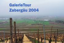 Ausblick beim Aufstieg zum » Hörnle « mit vernebeltem Blick auf Dürrenzimmern