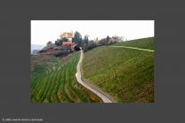 Wandern durch Weinberge: Schloss Staufenberg kommt immer näher