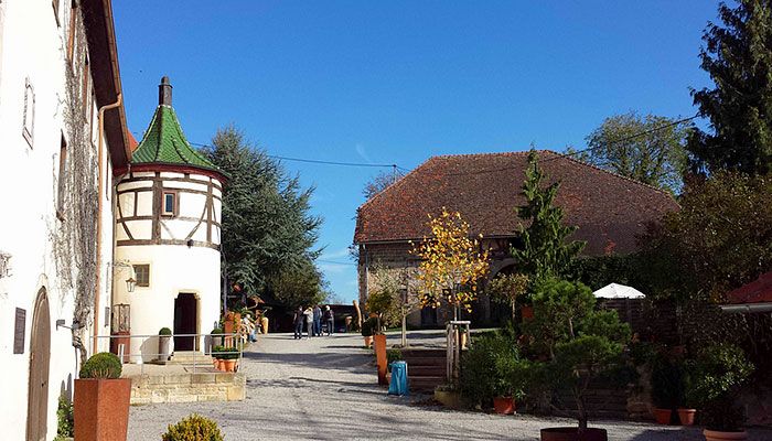 schloss-hohenentringen05_700x400