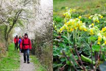 Start der Wanderung bei kühlem, aber optimalem OWA-Frühlingswetter