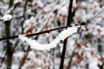 Winterliches Schnee-Kunstwerk