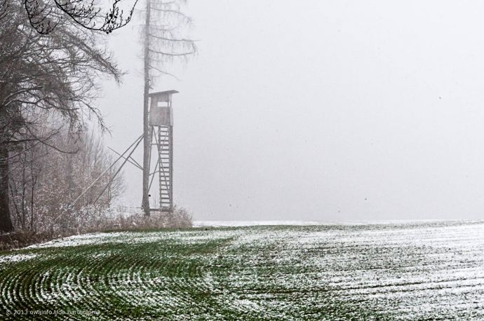 ub-owa2013_0056_k01_1200x800