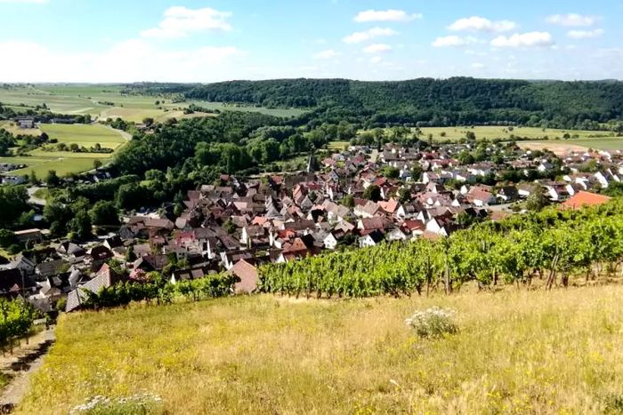 weinberge-rosswag_1200x800